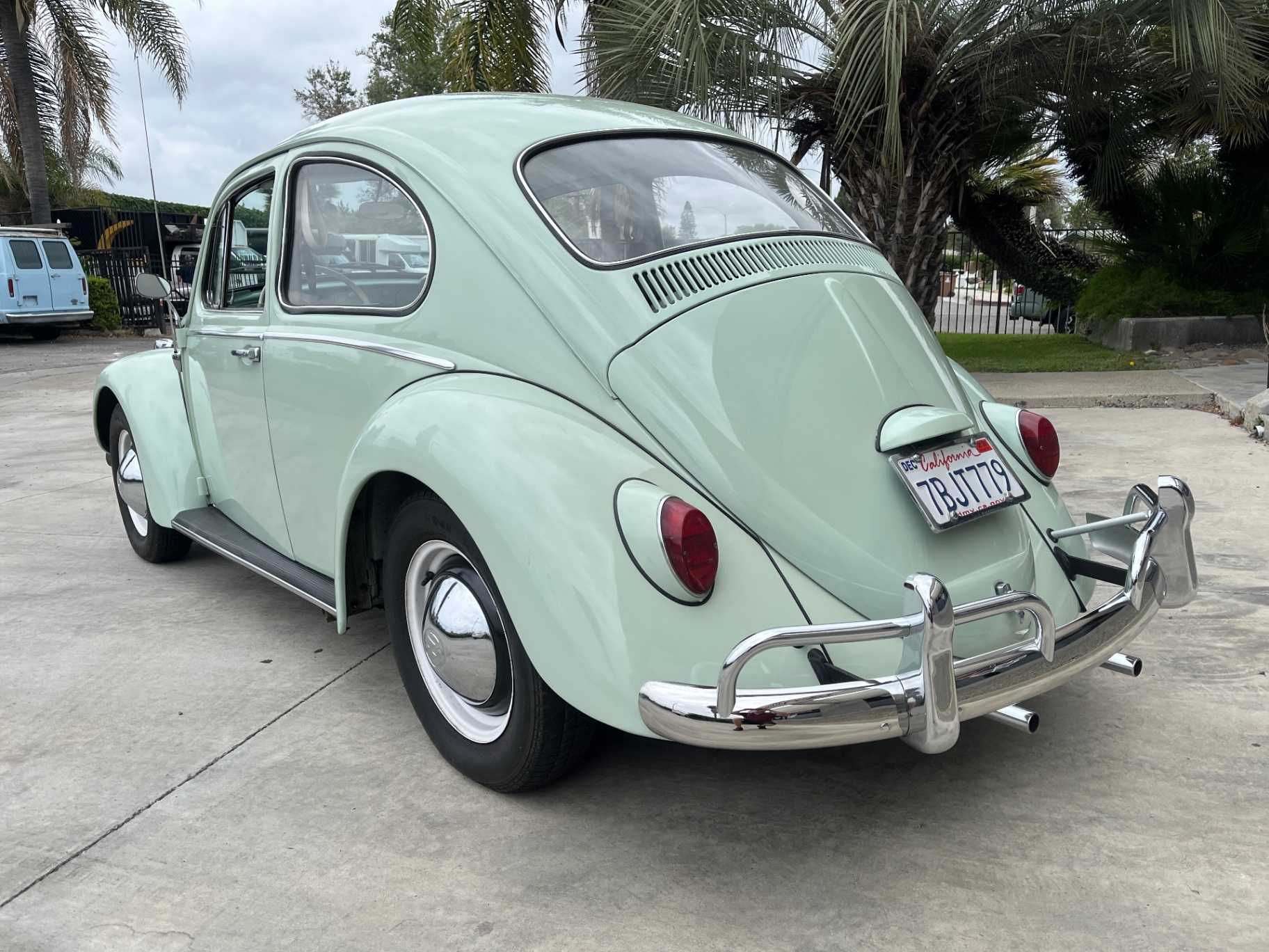 Volkswagen Beetle Image 9