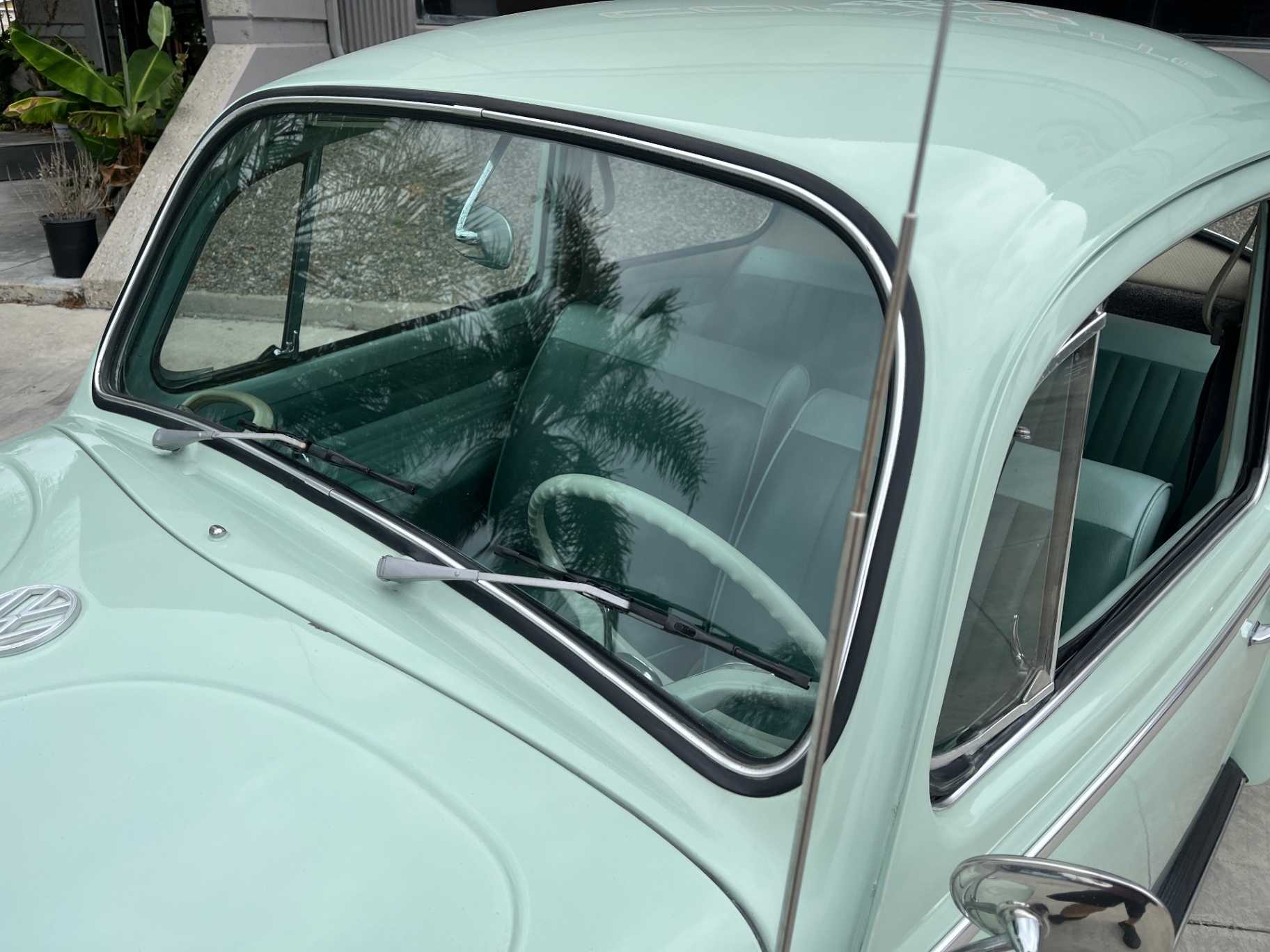 Volkswagen Beetle Image 4