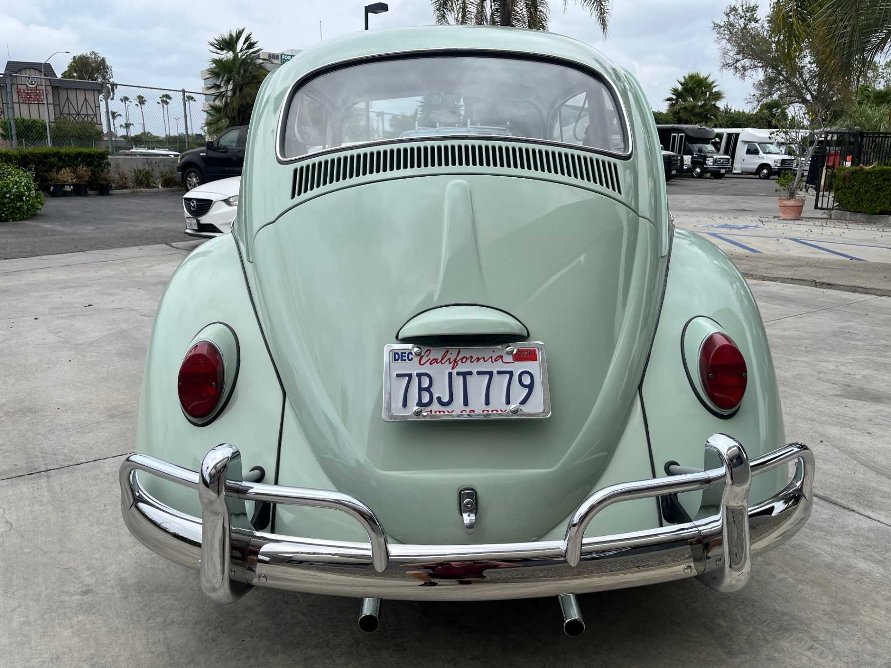 Volkswagen Beetle Image 13