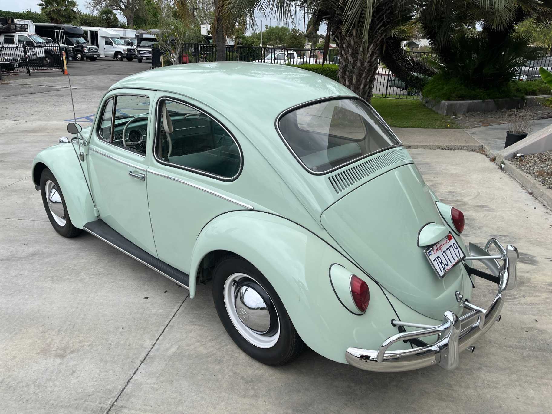 Volkswagen Beetle Image 8