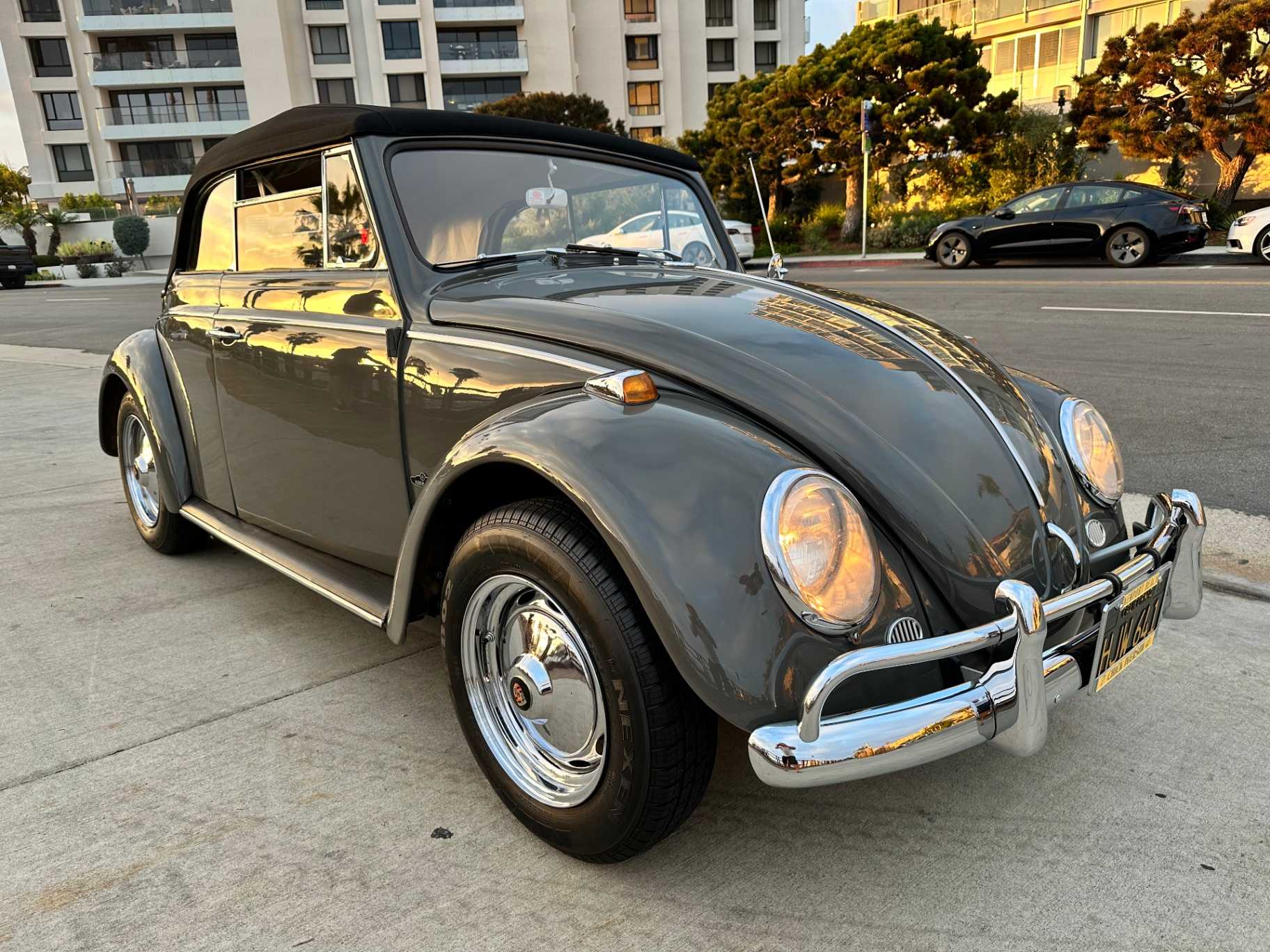 Volkswagen Beetle Image 14