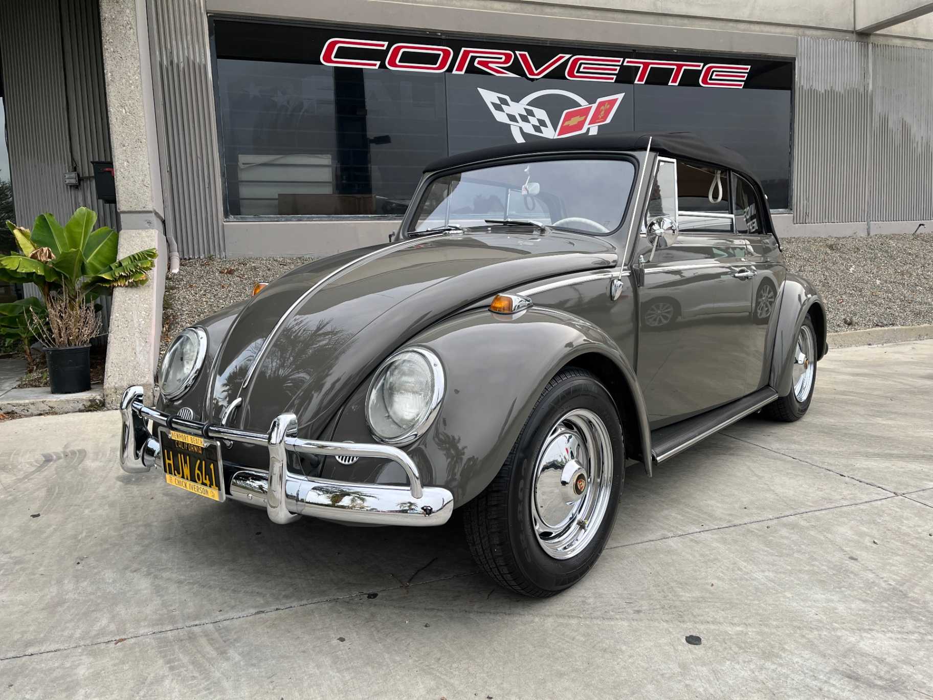 Volkswagen Beetle Image 1