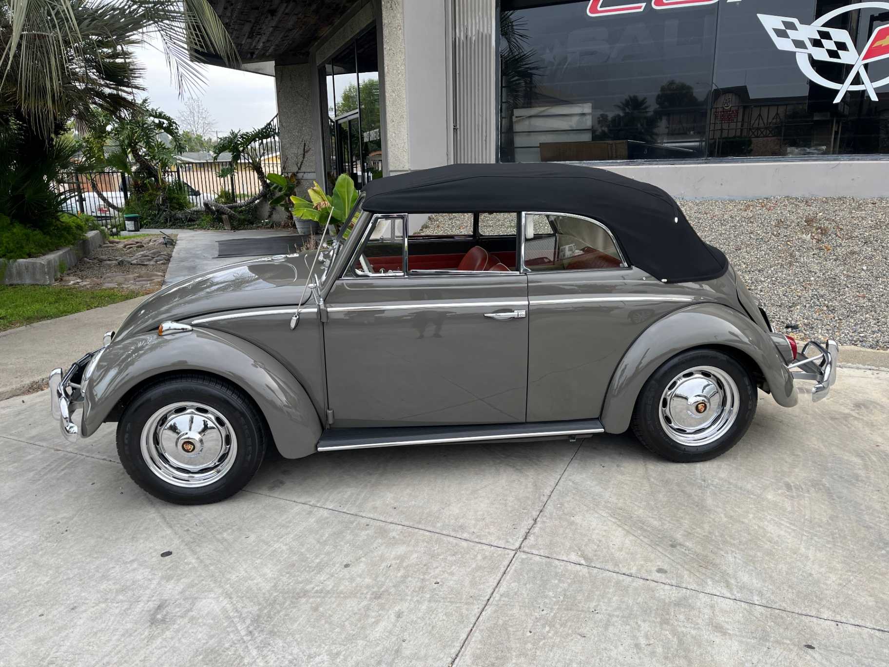 Volkswagen Beetle Image 10
