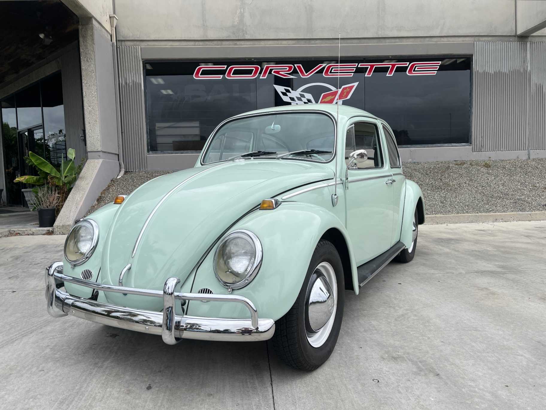 Volkswagen Beetle Image 1
