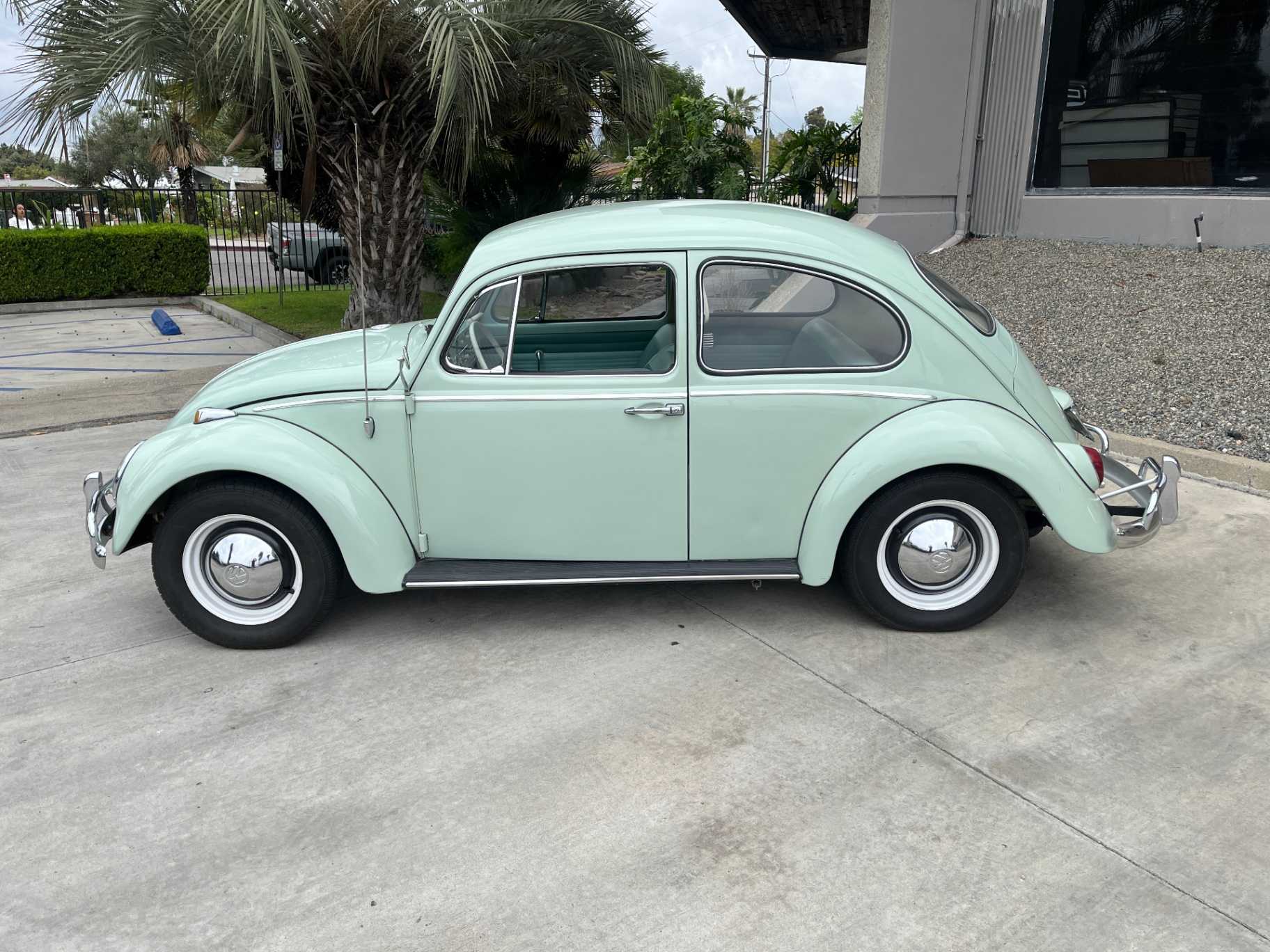 Volkswagen Beetle Image 11