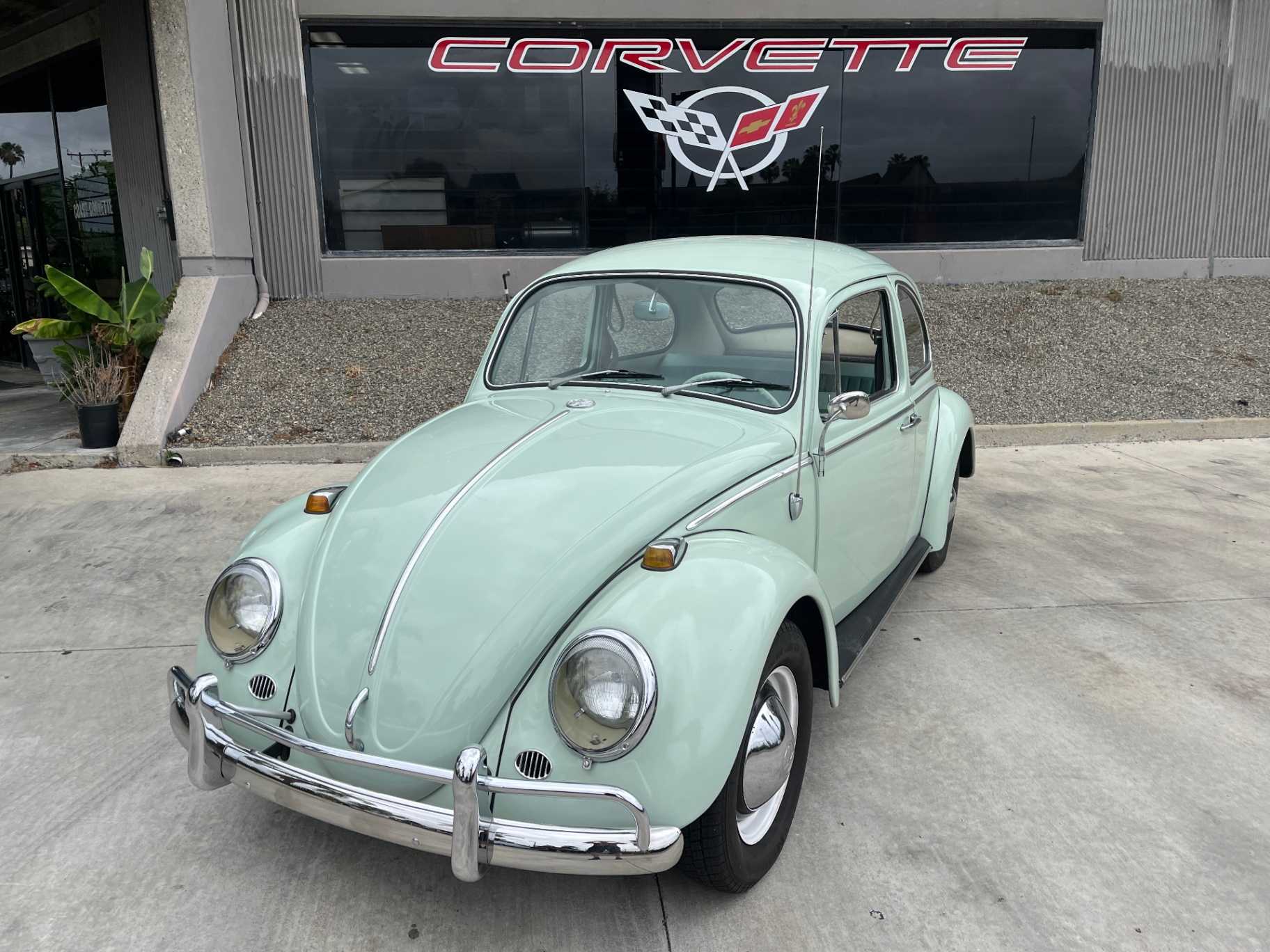 Volkswagen Beetle Image 2