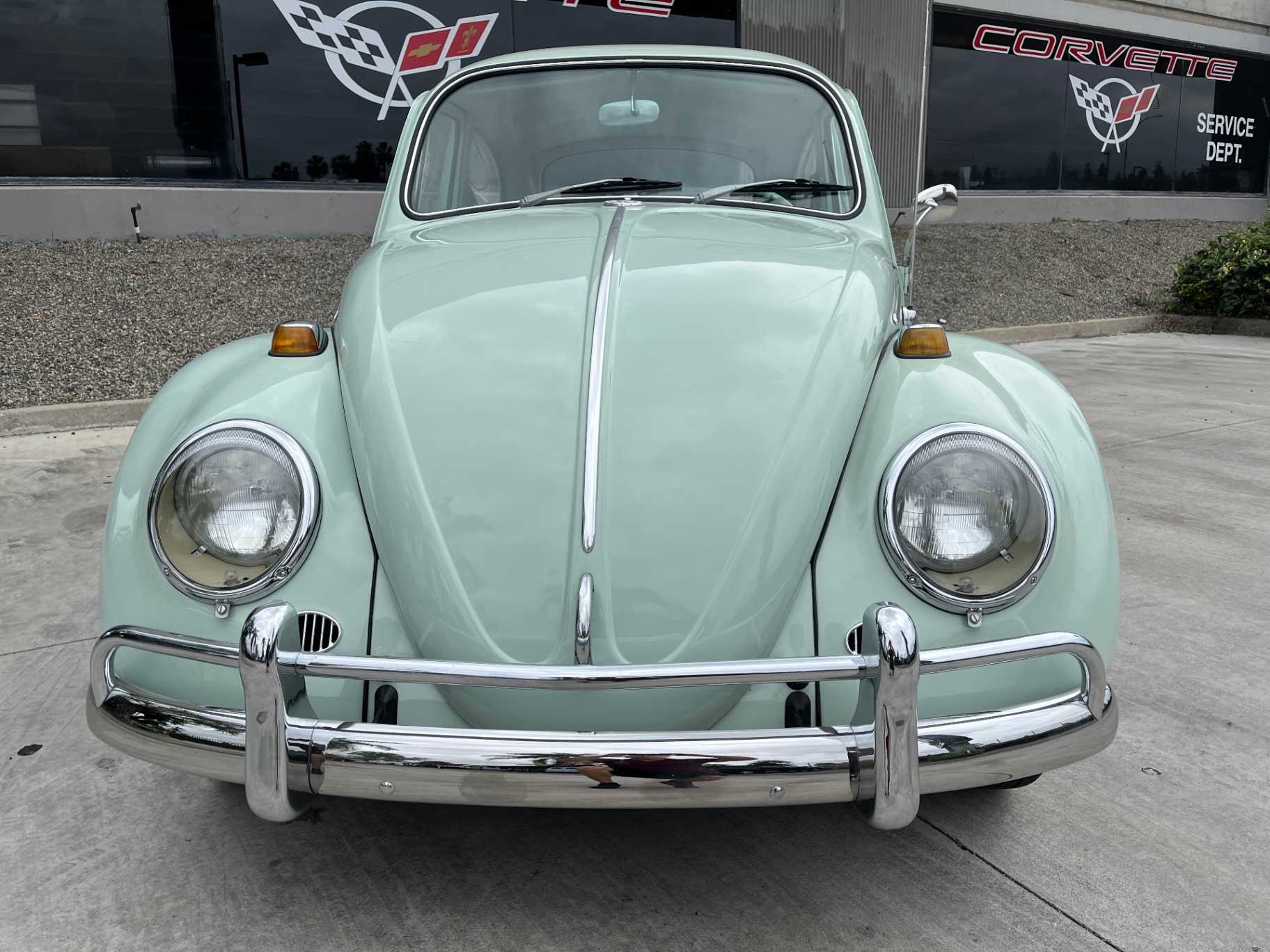 Volkswagen Beetle Image 12