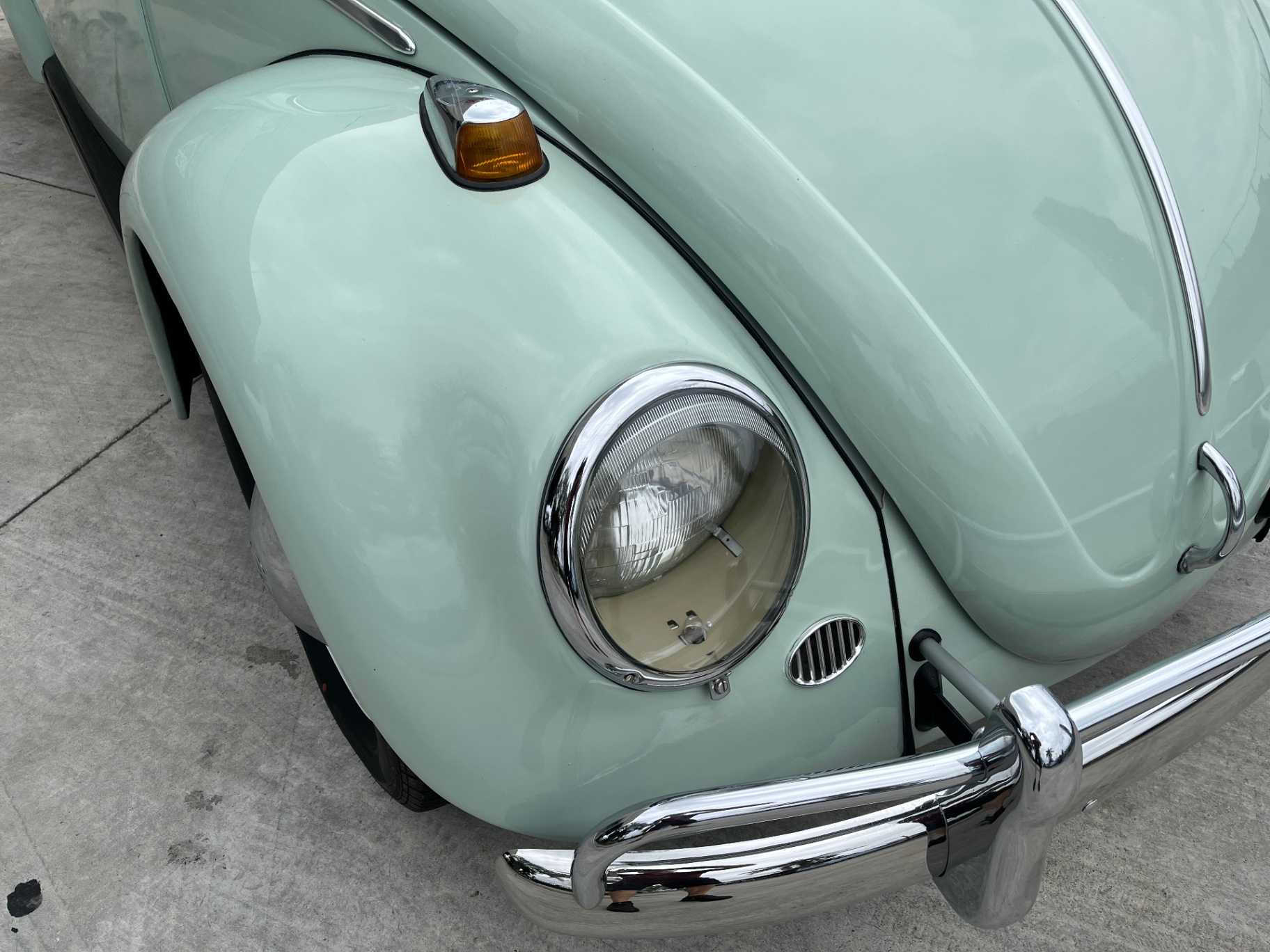 Volkswagen Beetle Image 6
